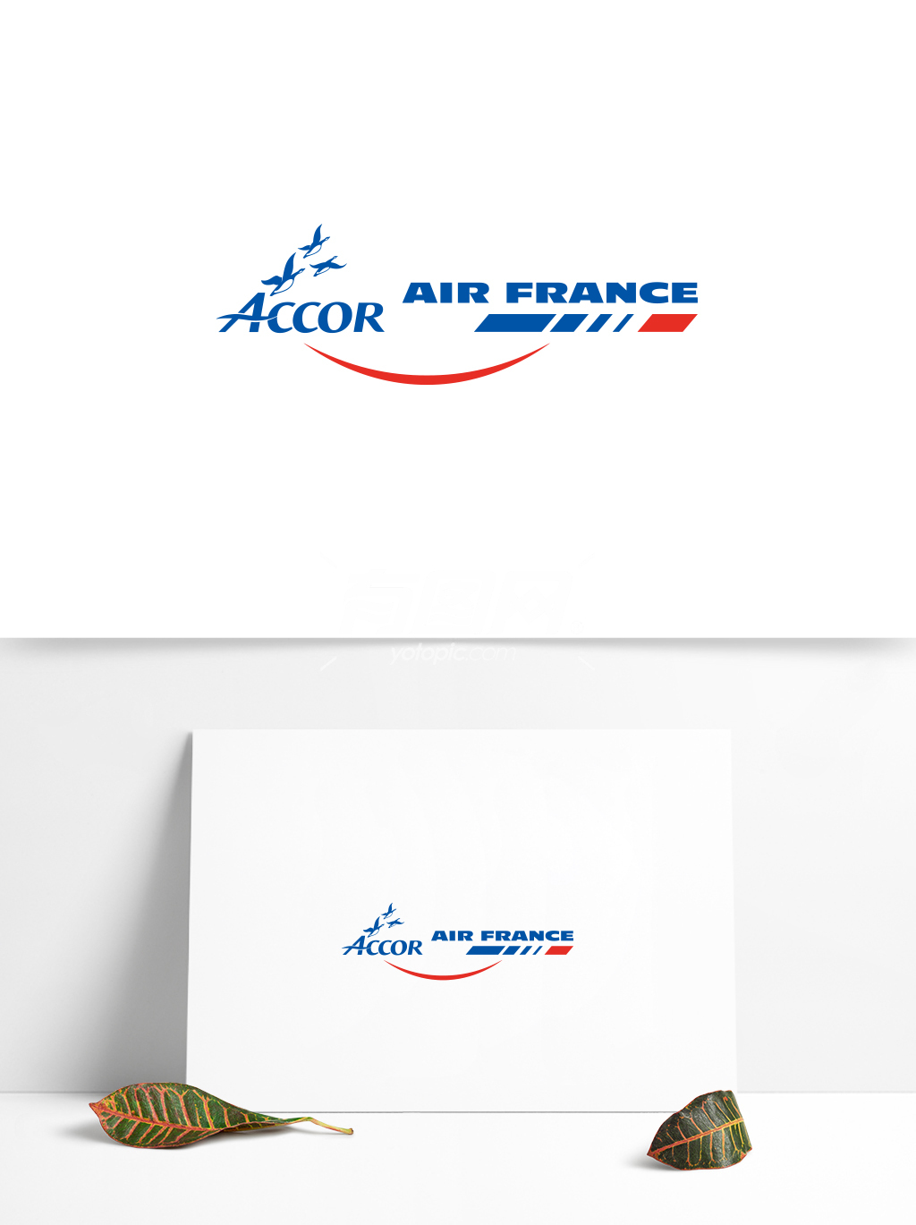 全球航空业标志设计 (7)