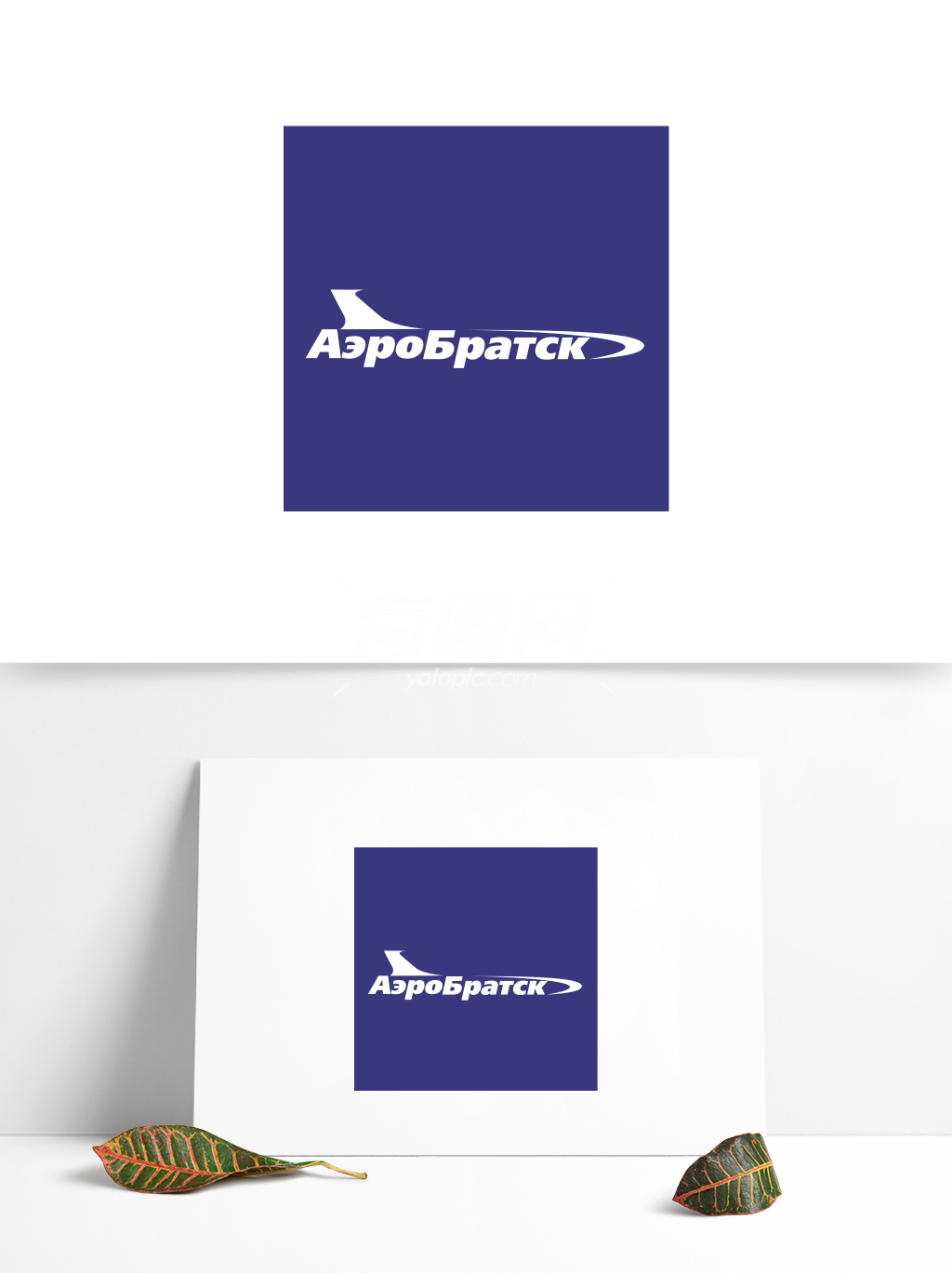 全球航空业标志设计 (10)
