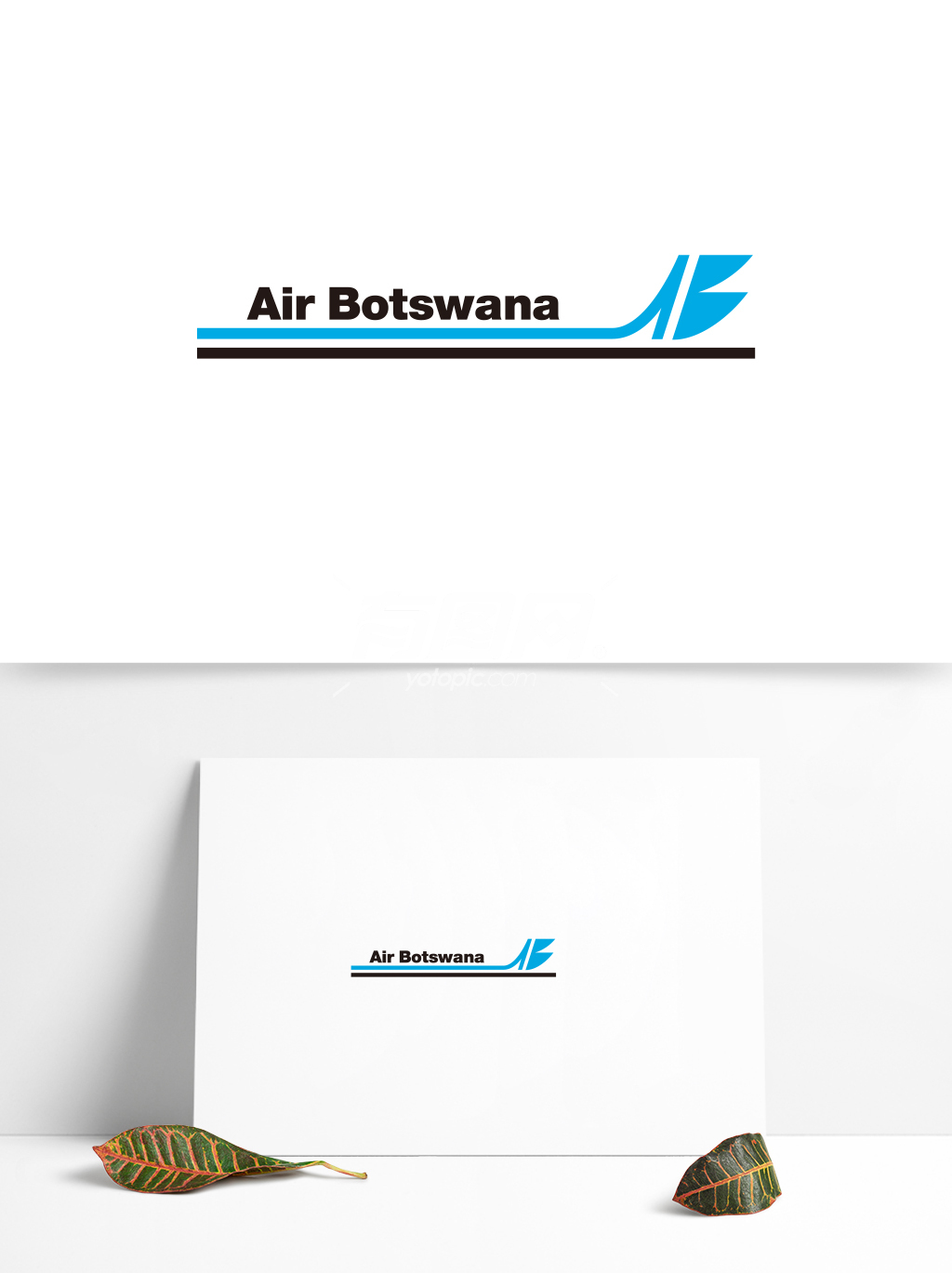 全球航空业标志设计 (28)