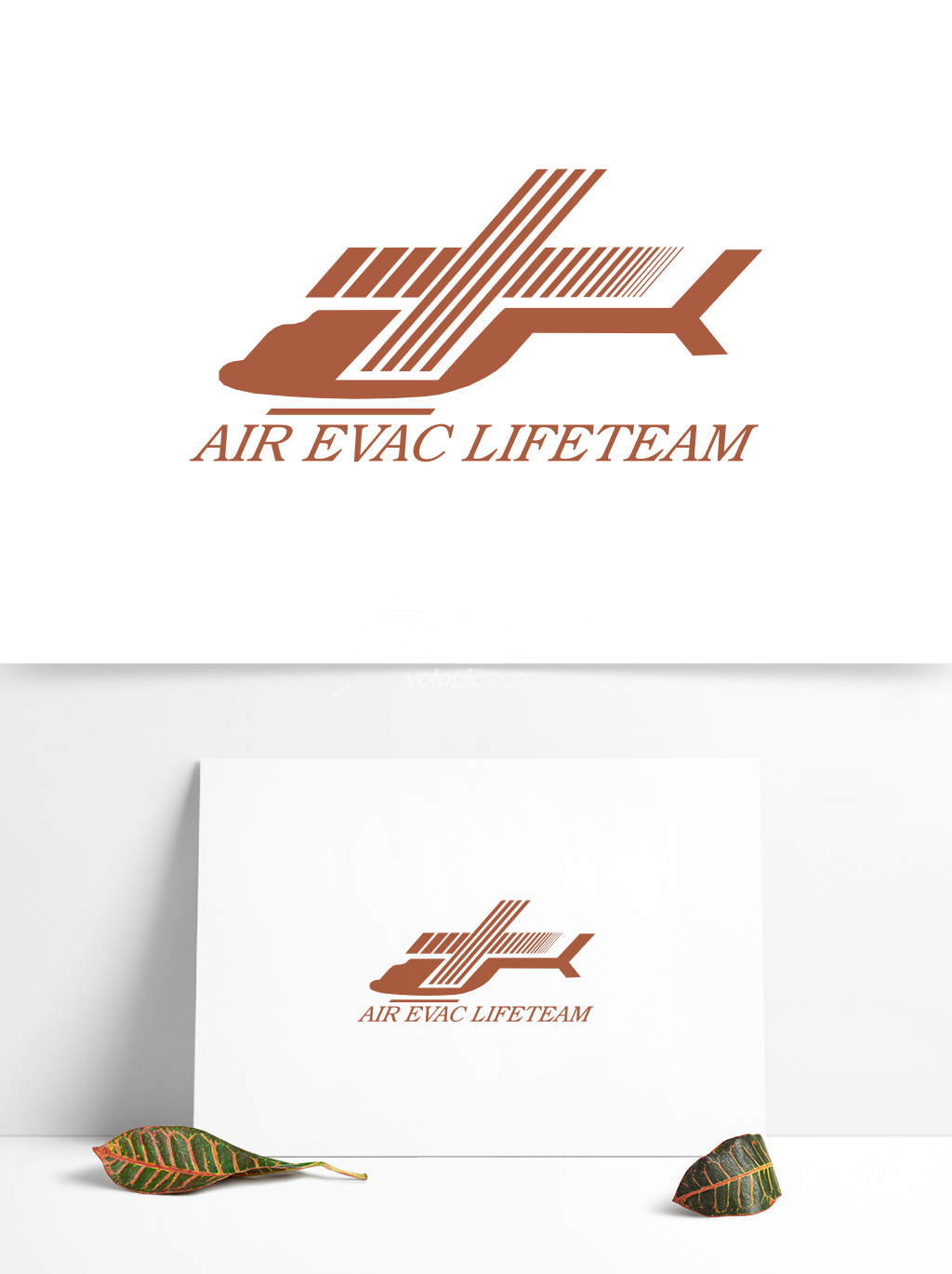 全球航空业标志设计 (36)