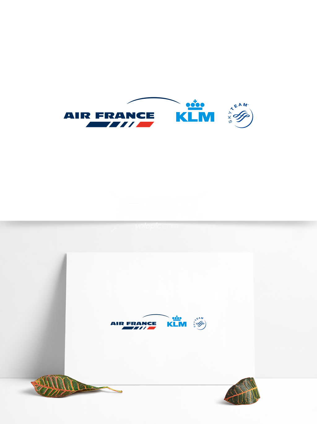 全球航空业标志设计 (42)