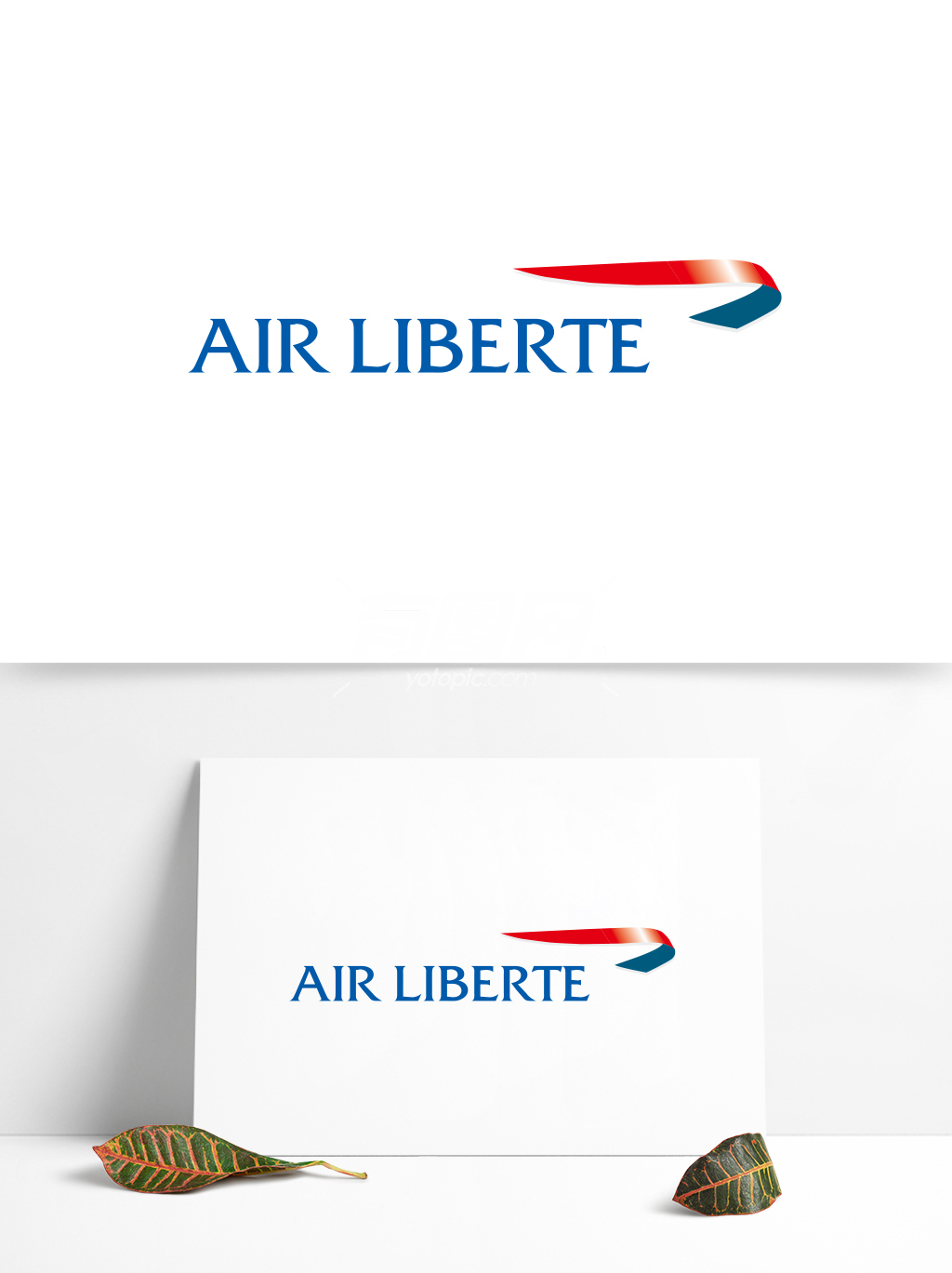 全球航空业标志设计 (45)