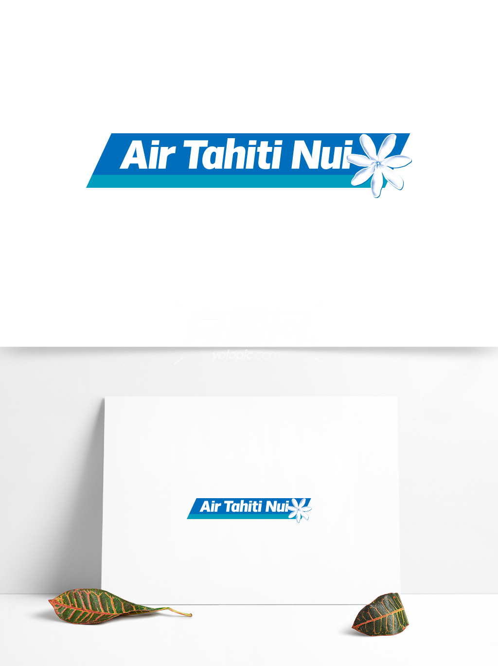 全球航空业标志设计 (64)