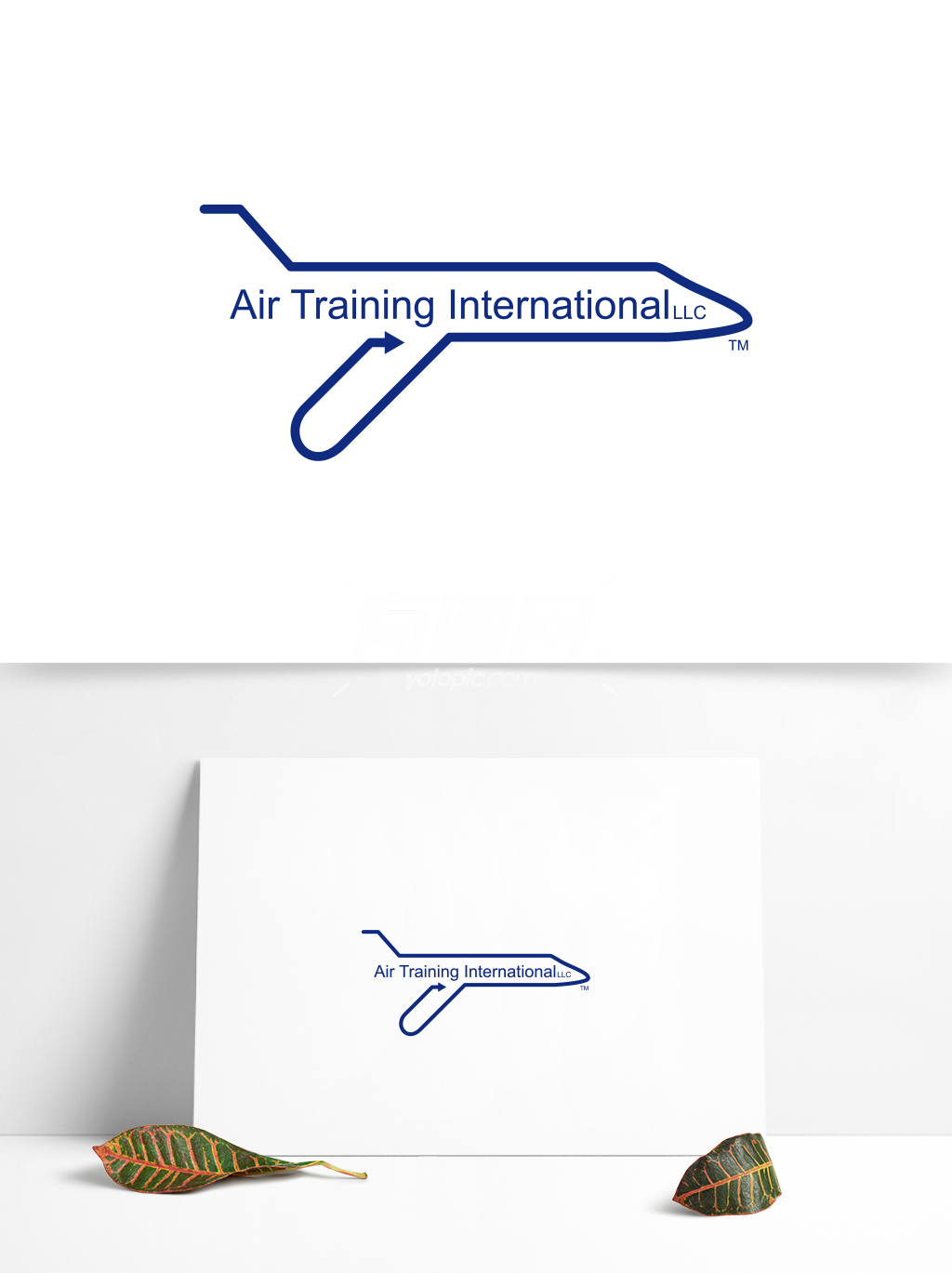 全球航空业标志设计 (67)