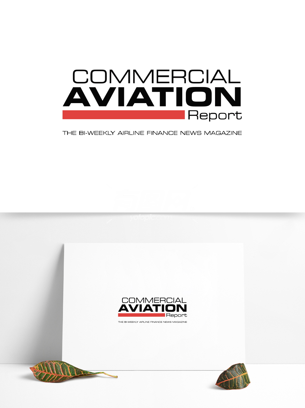 全球航空业标志设计 (156)
