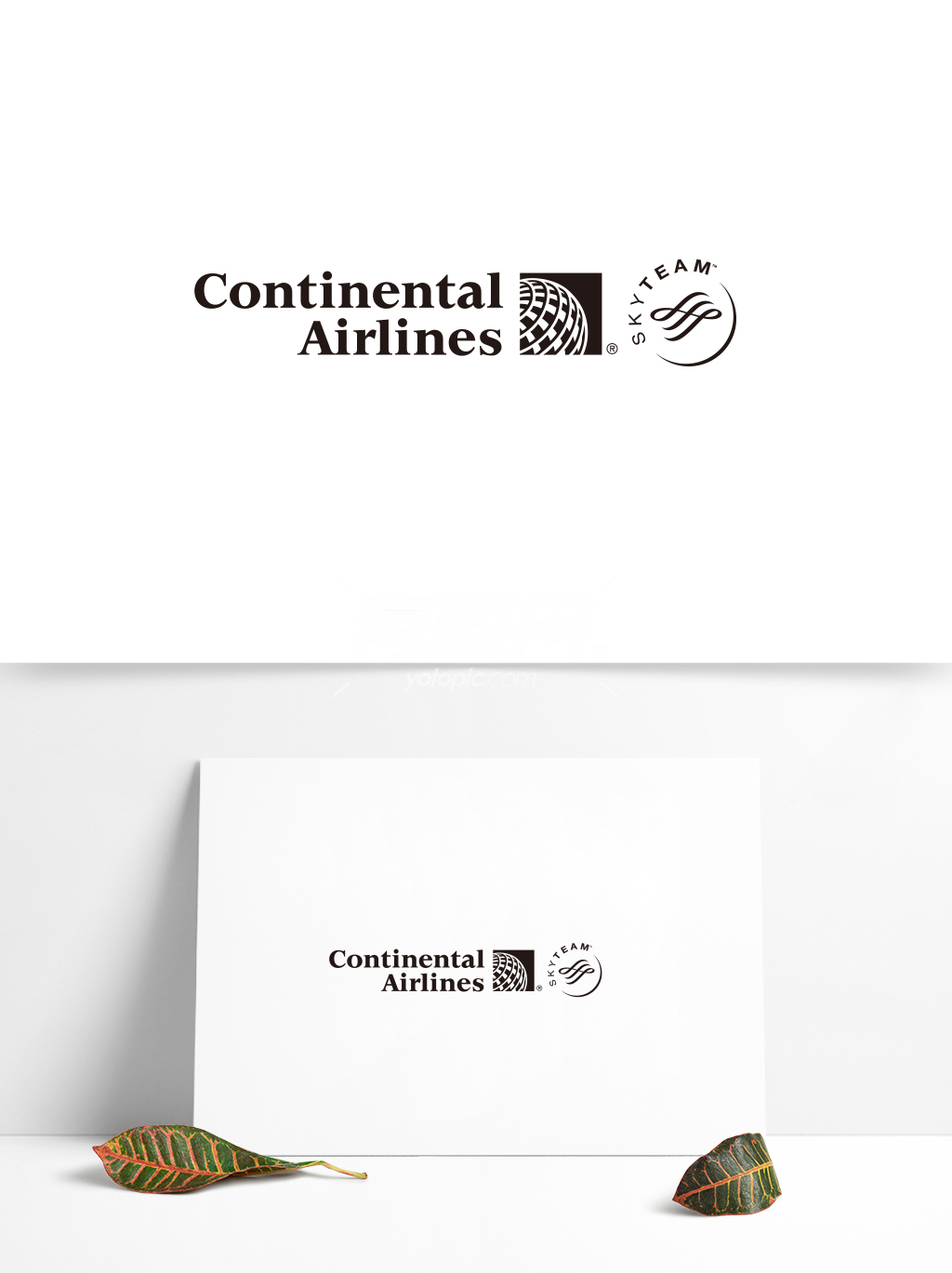 全球航空业标志设计 (157)