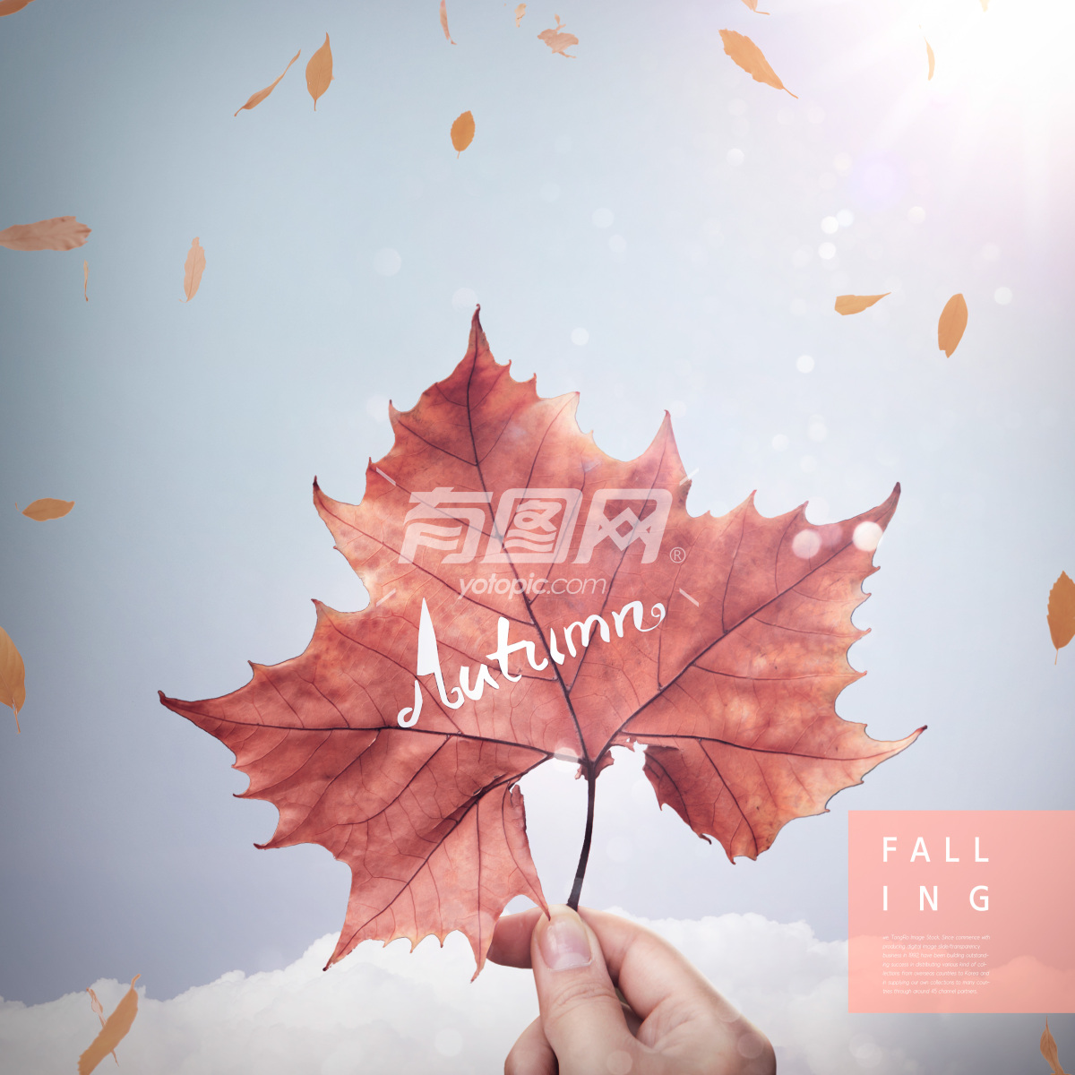 韩国素材 唯美浪漫秋季