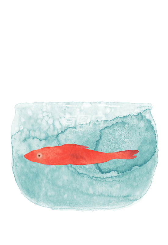 红色金鱼装饰画