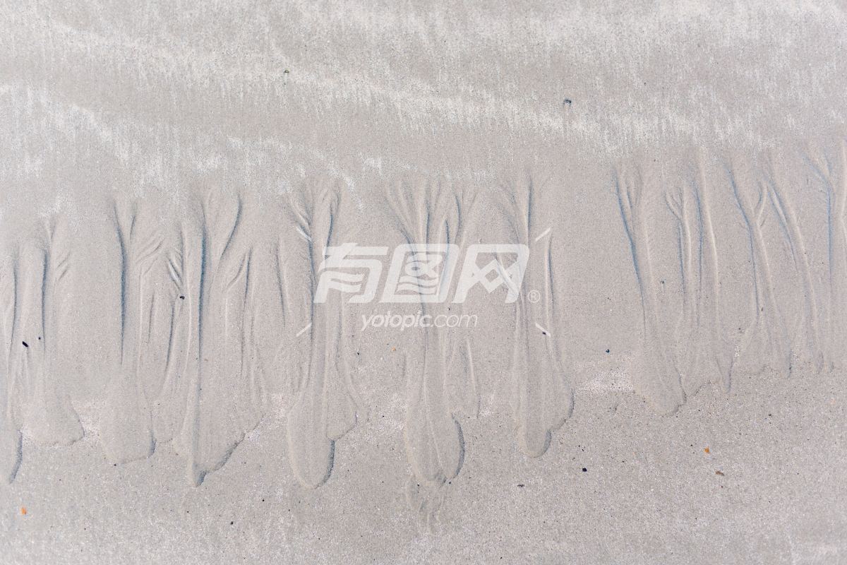 沙子纹理