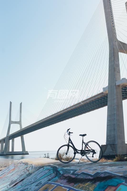 自行车 桥