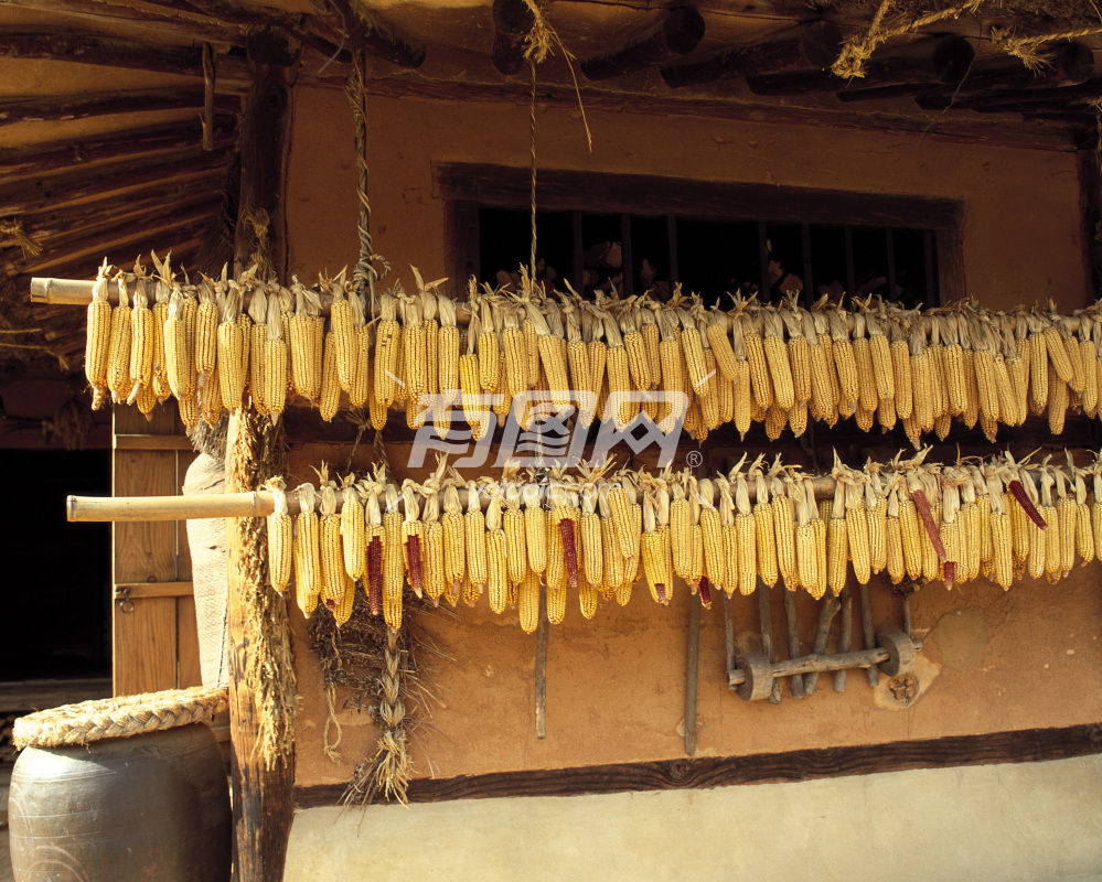 韩国茅草屋