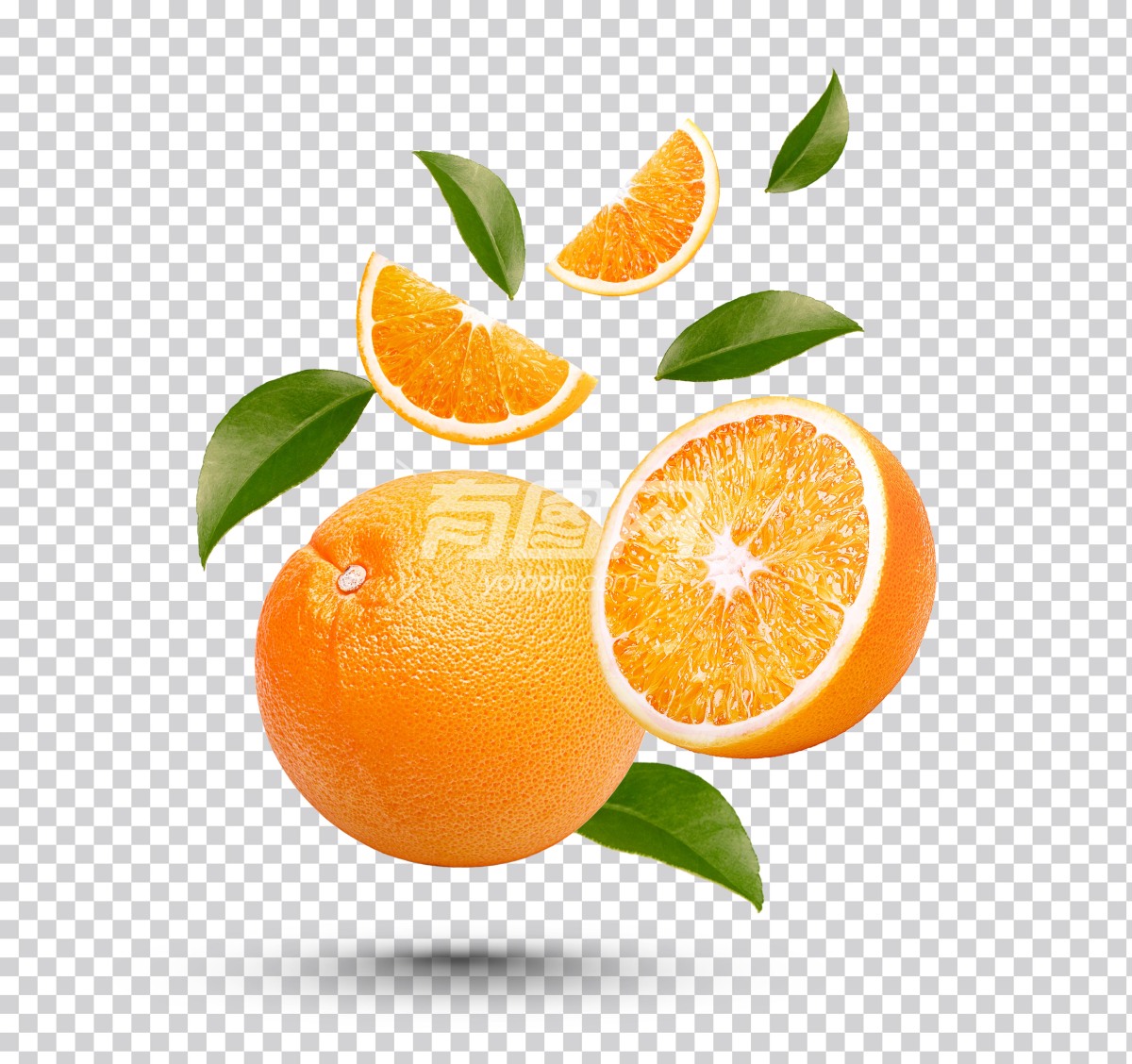 高清透明柑橘橙子- 有图网_免费的设计素材网
