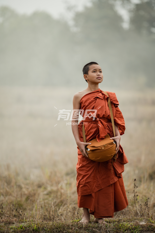步行在田间的小僧侣