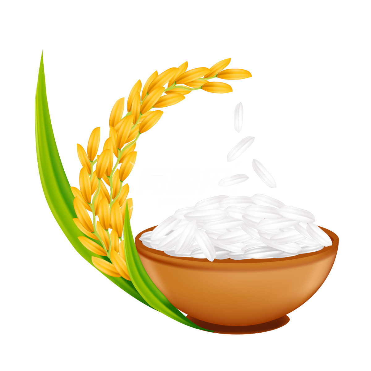 水稻稻米插画图案
