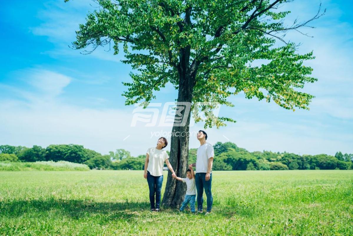 站在树下的一家人