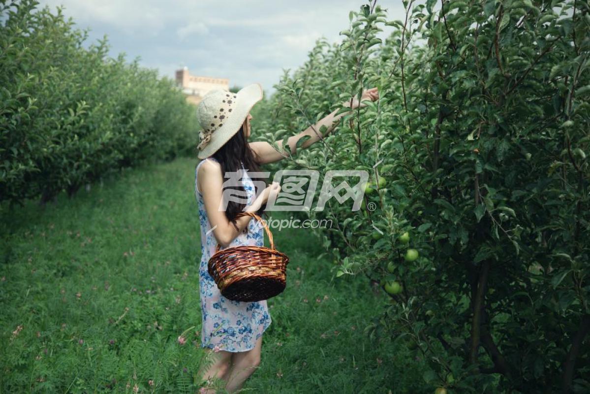 站在苹果树下 的女人