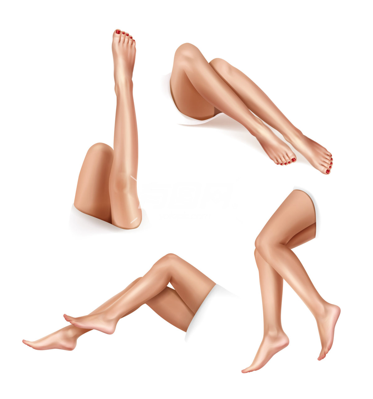 女性腿不同的姿势