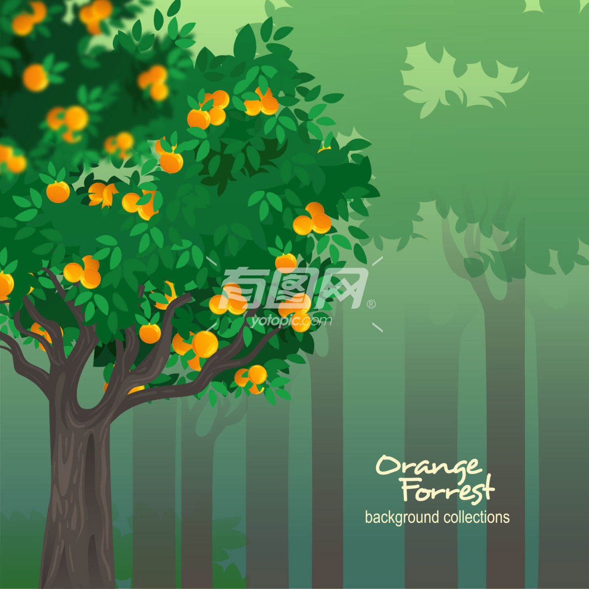 橙子果园插画