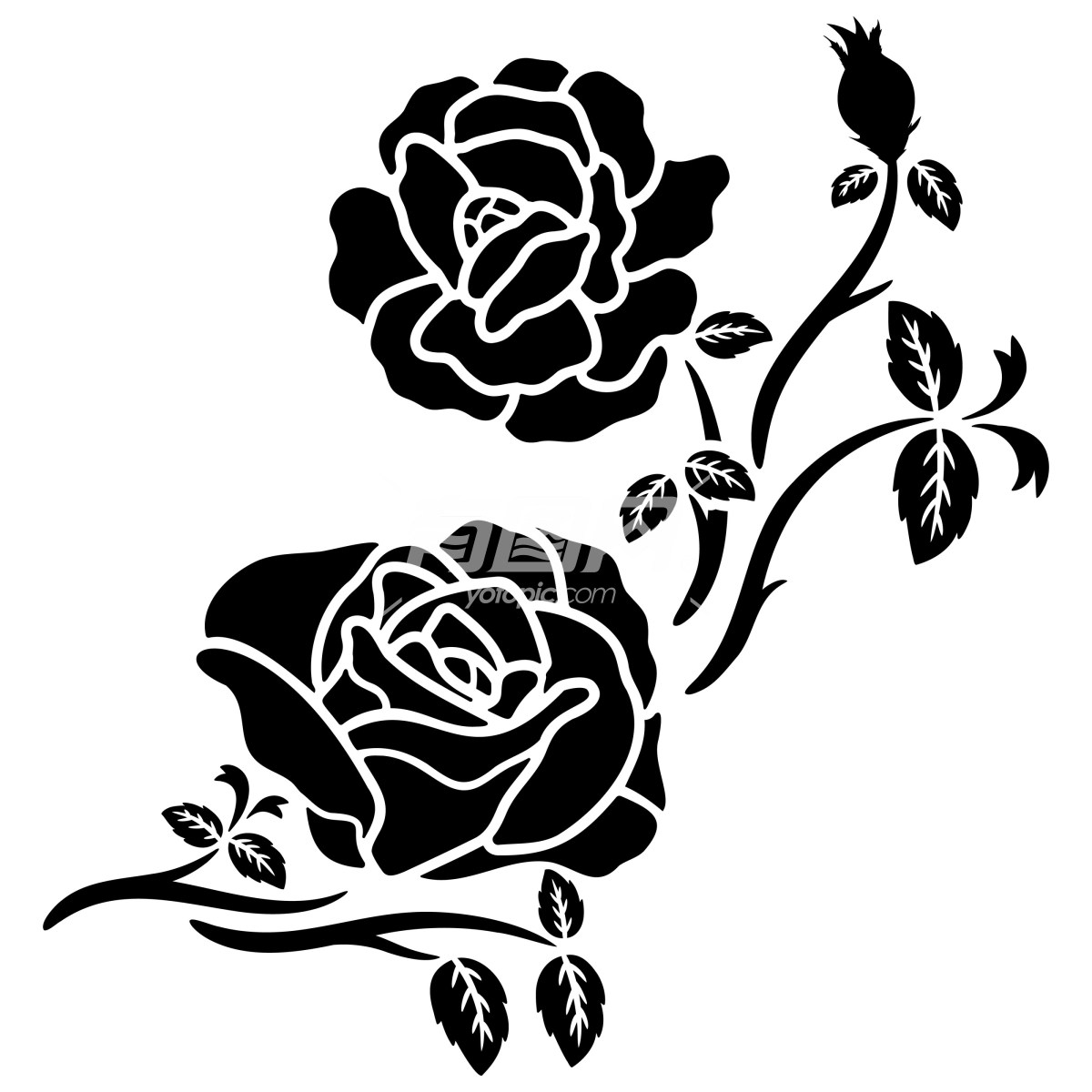 黑色玫瑰图案