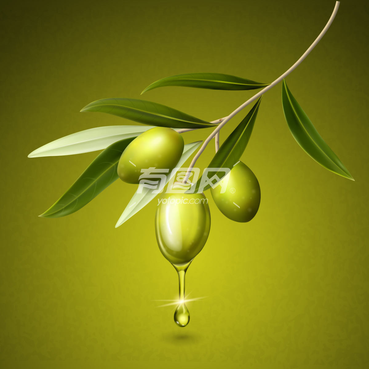 橄榄油液体滴落广告