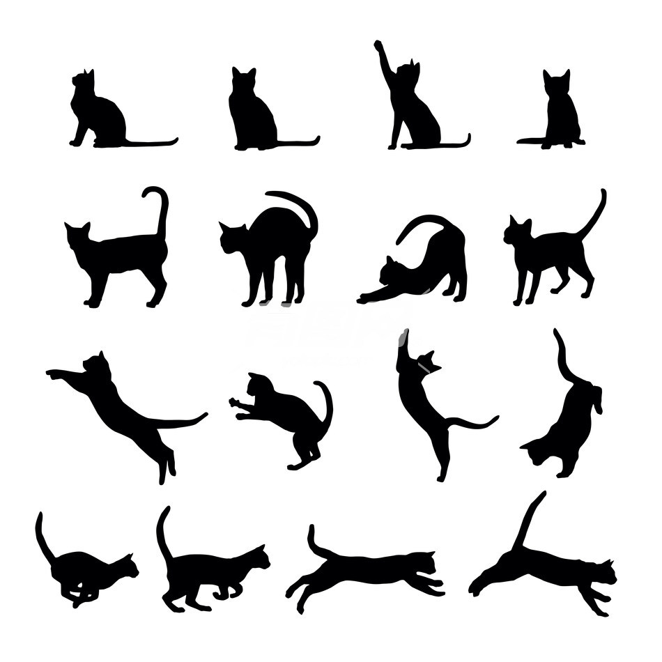 猫咪动作图标
