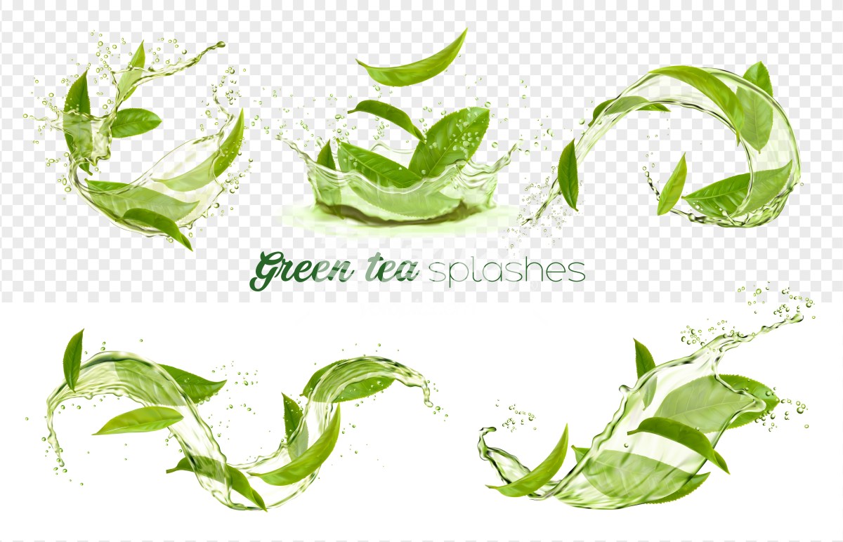 绿茶广告元素
