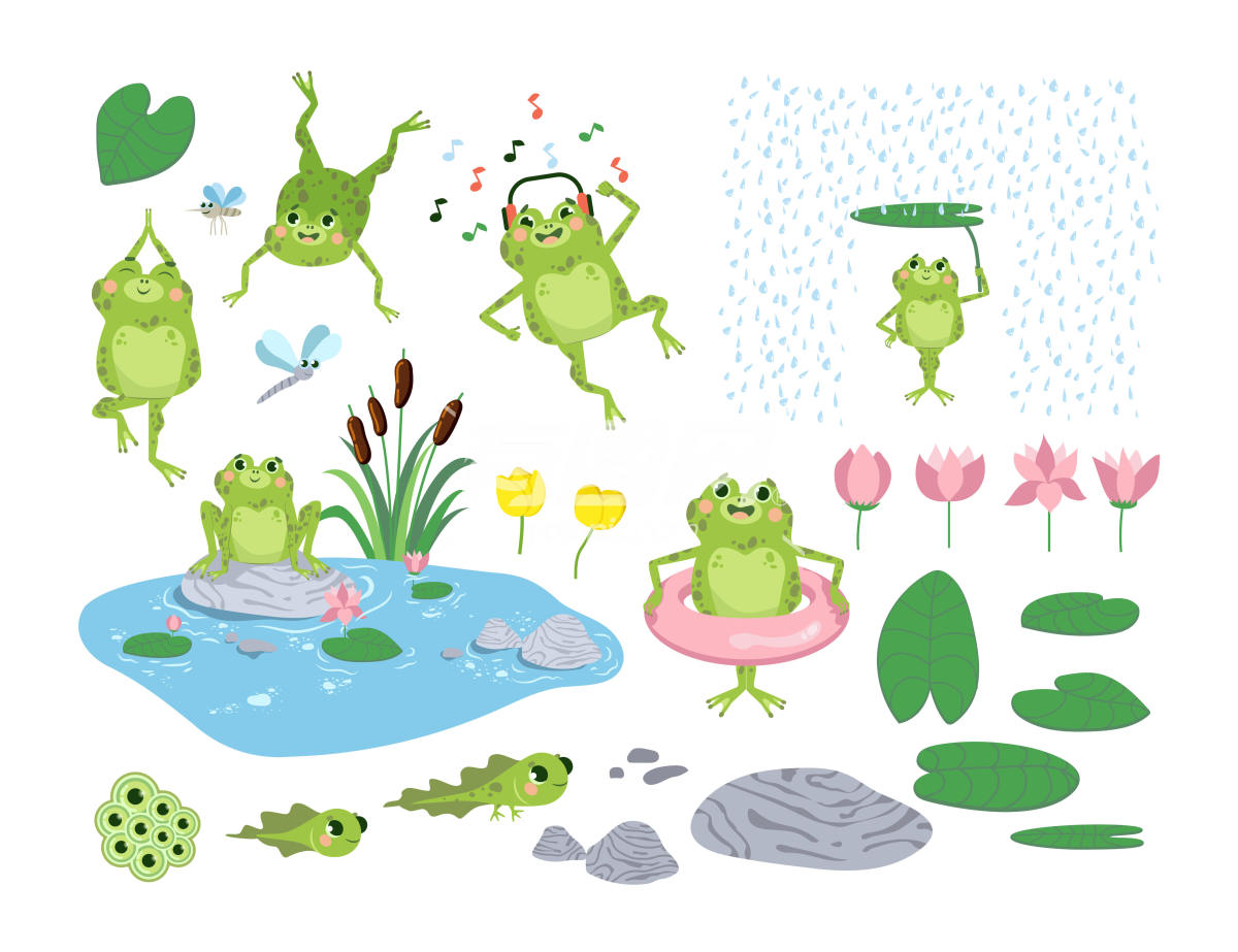 卡通青蛙和蝌蚪插画