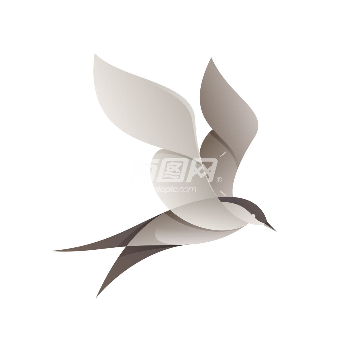 鸟类logo图标