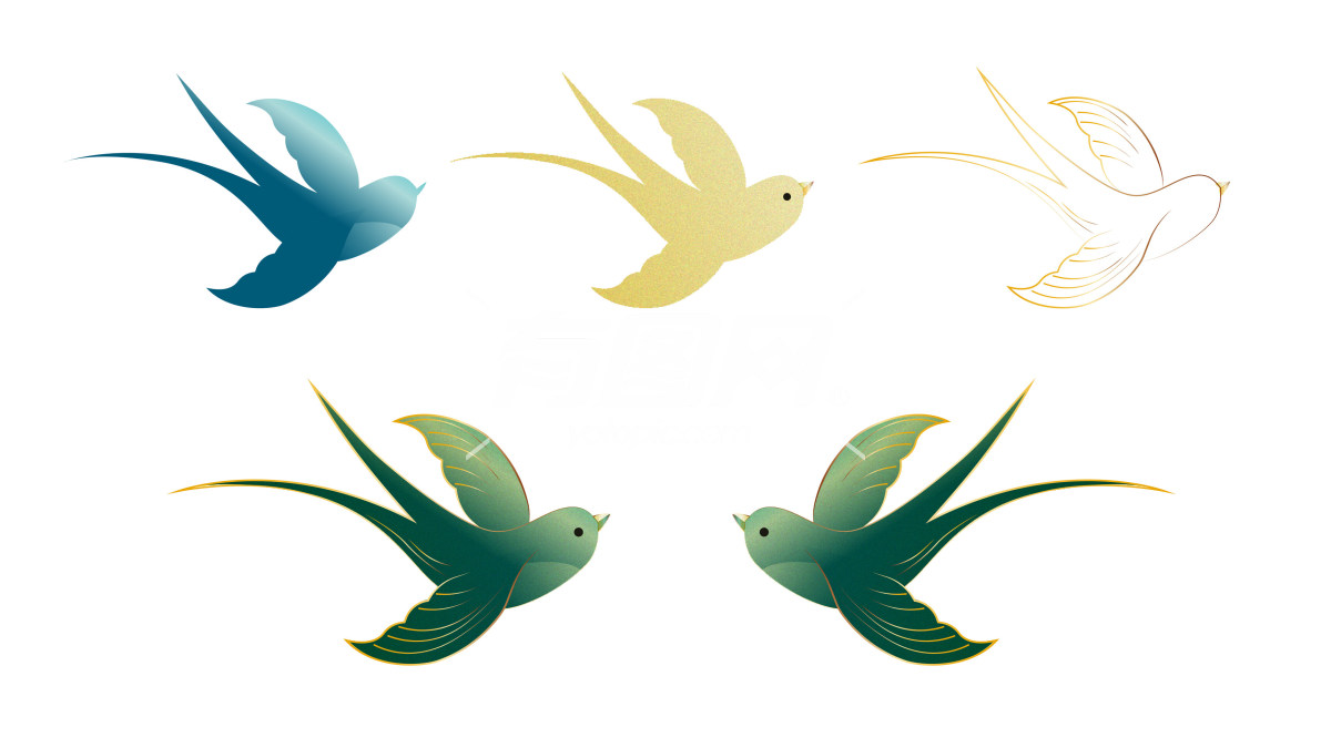 鸟类插图