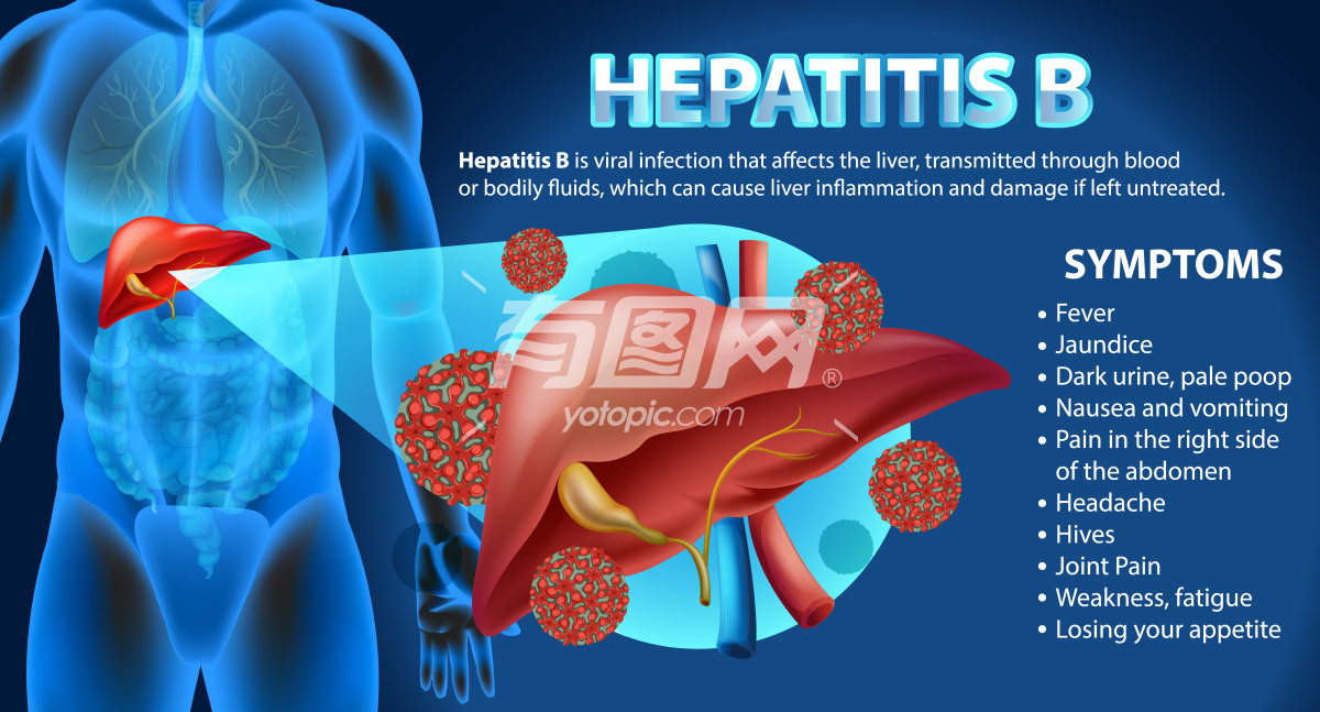 乙型肝炎信息图