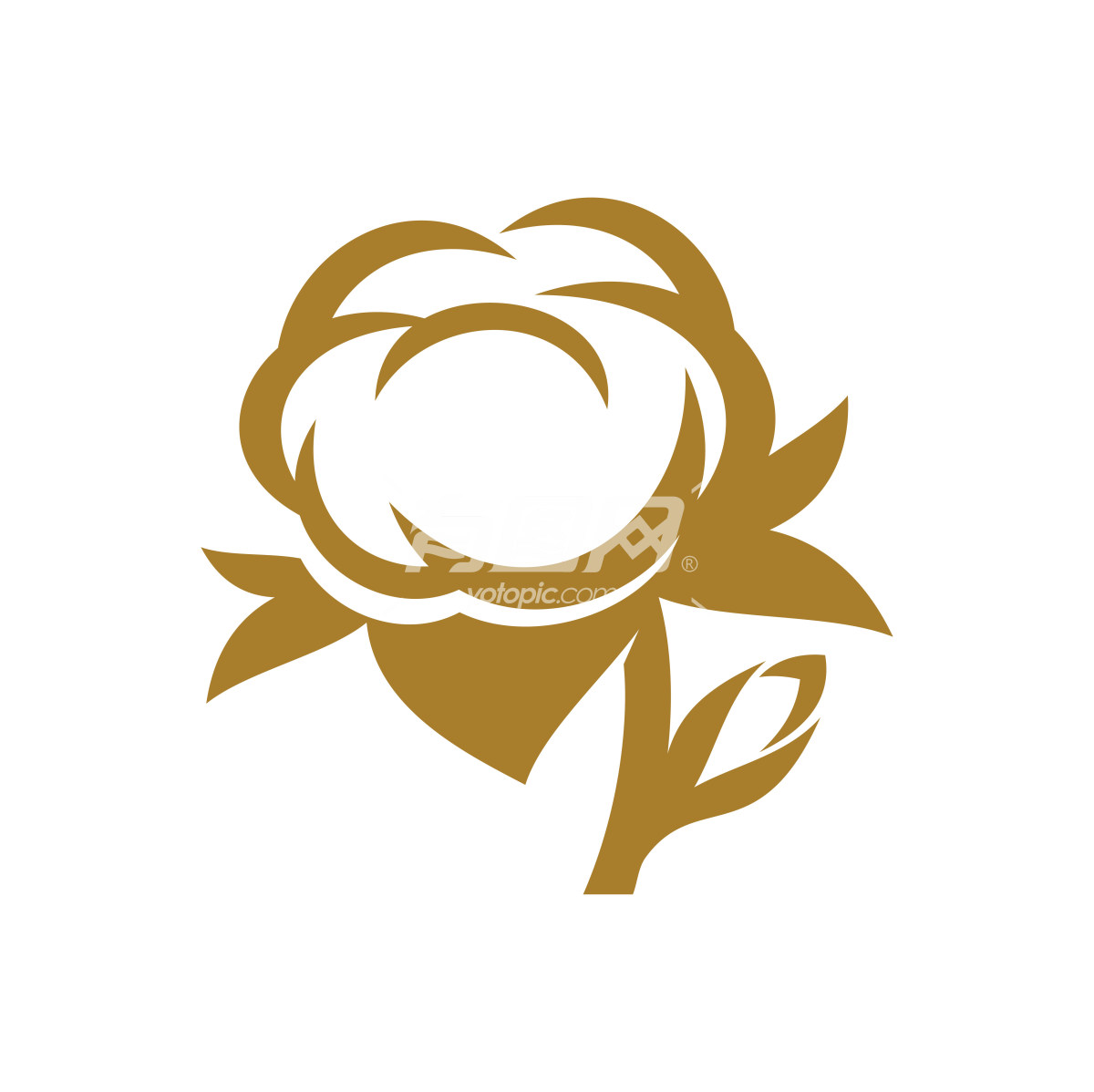 棉花logo图标