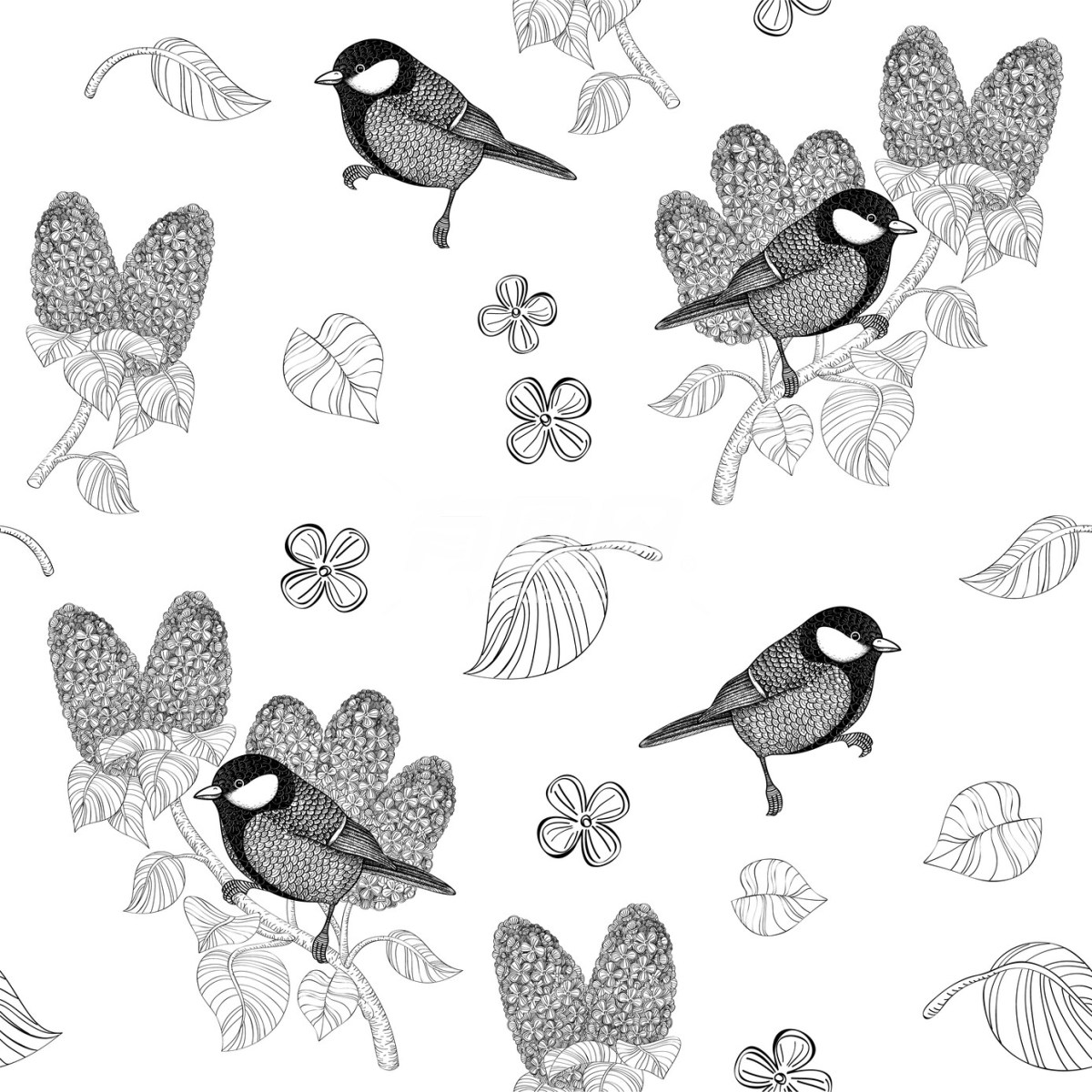 鸟类插画