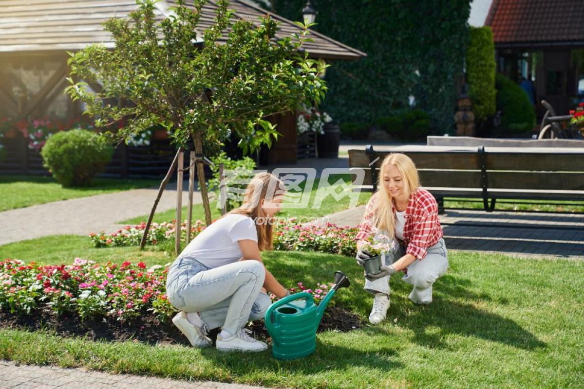 母女俩人在种植花草