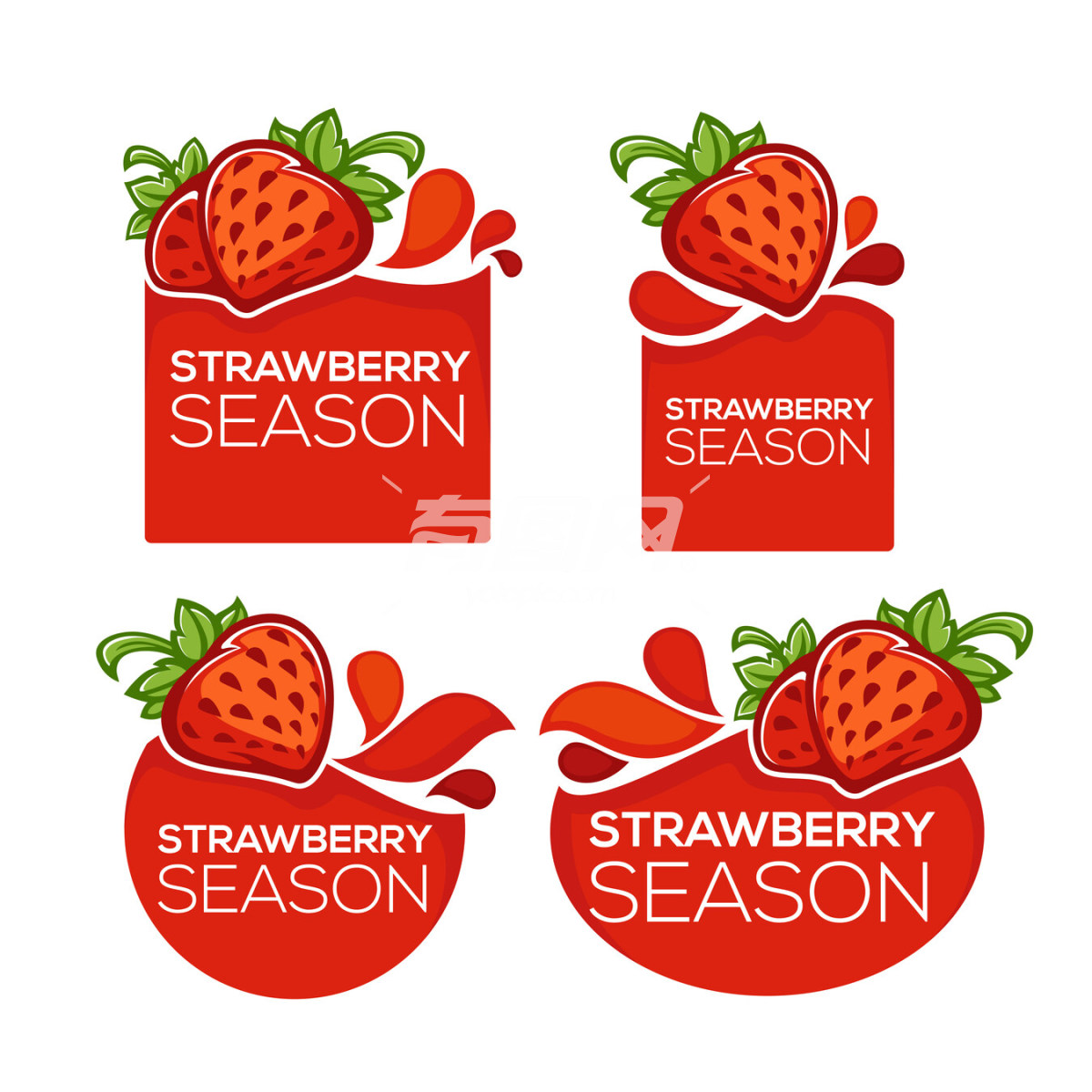 矢量草莓标签