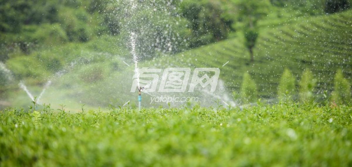 花园自动灌溉系统