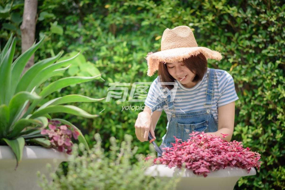 亚洲女人在种植花