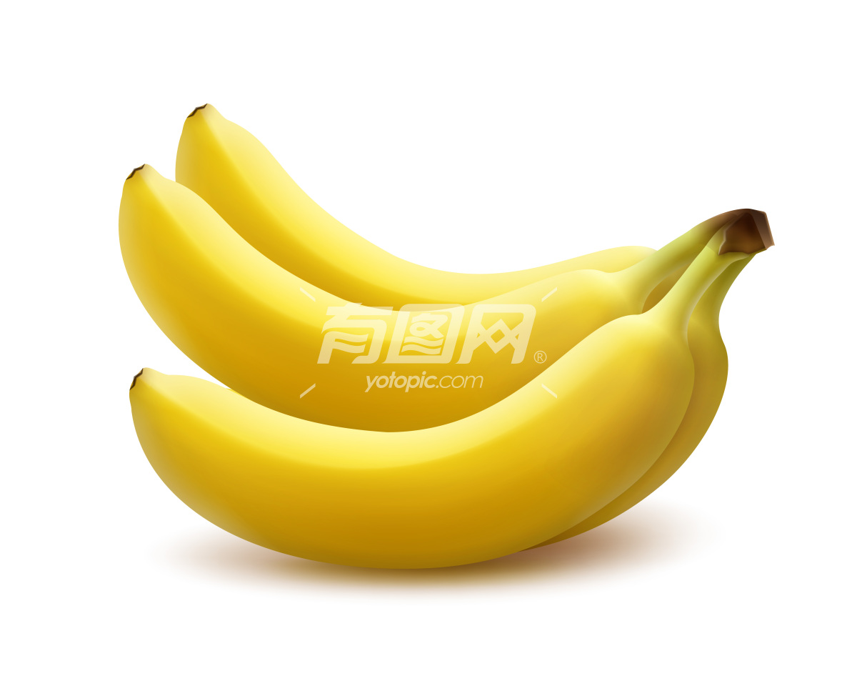 矢量香蕉插画
