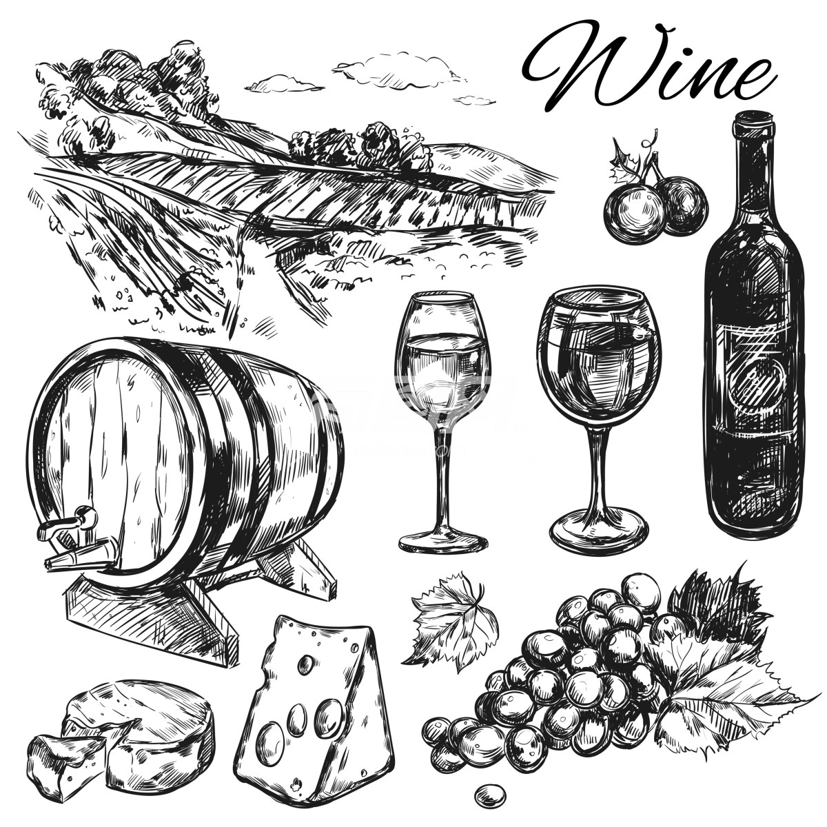 葡萄酒主题插画