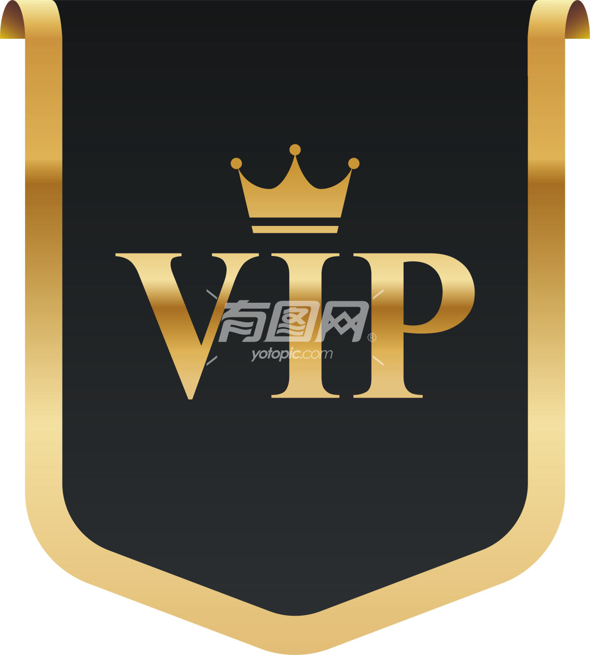 矢量VIP徽章标签