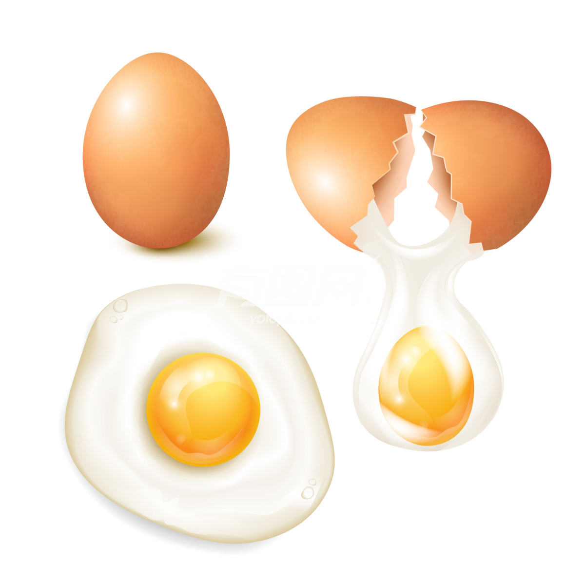 油炸煎鸡蛋