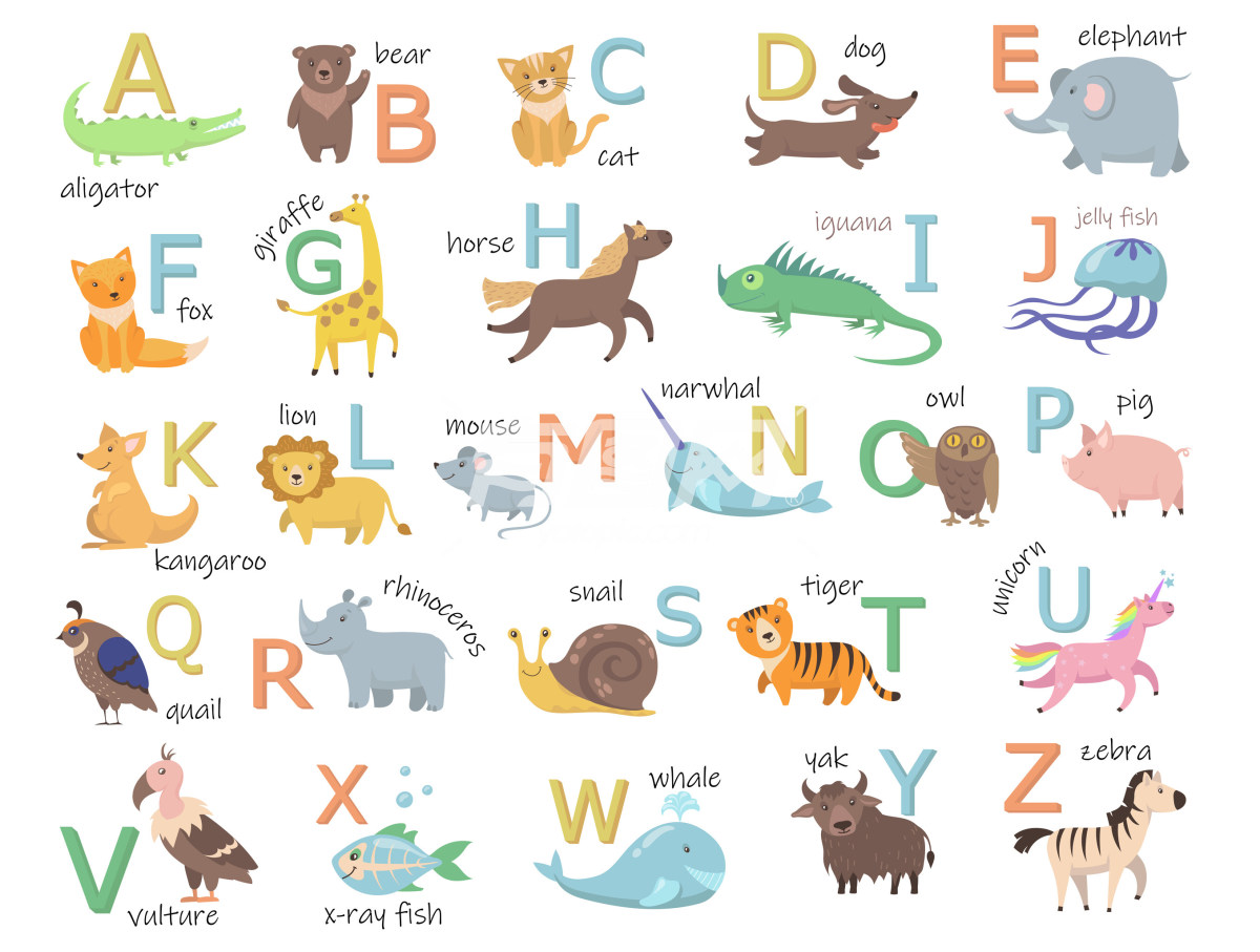 26个创意动物英文字母