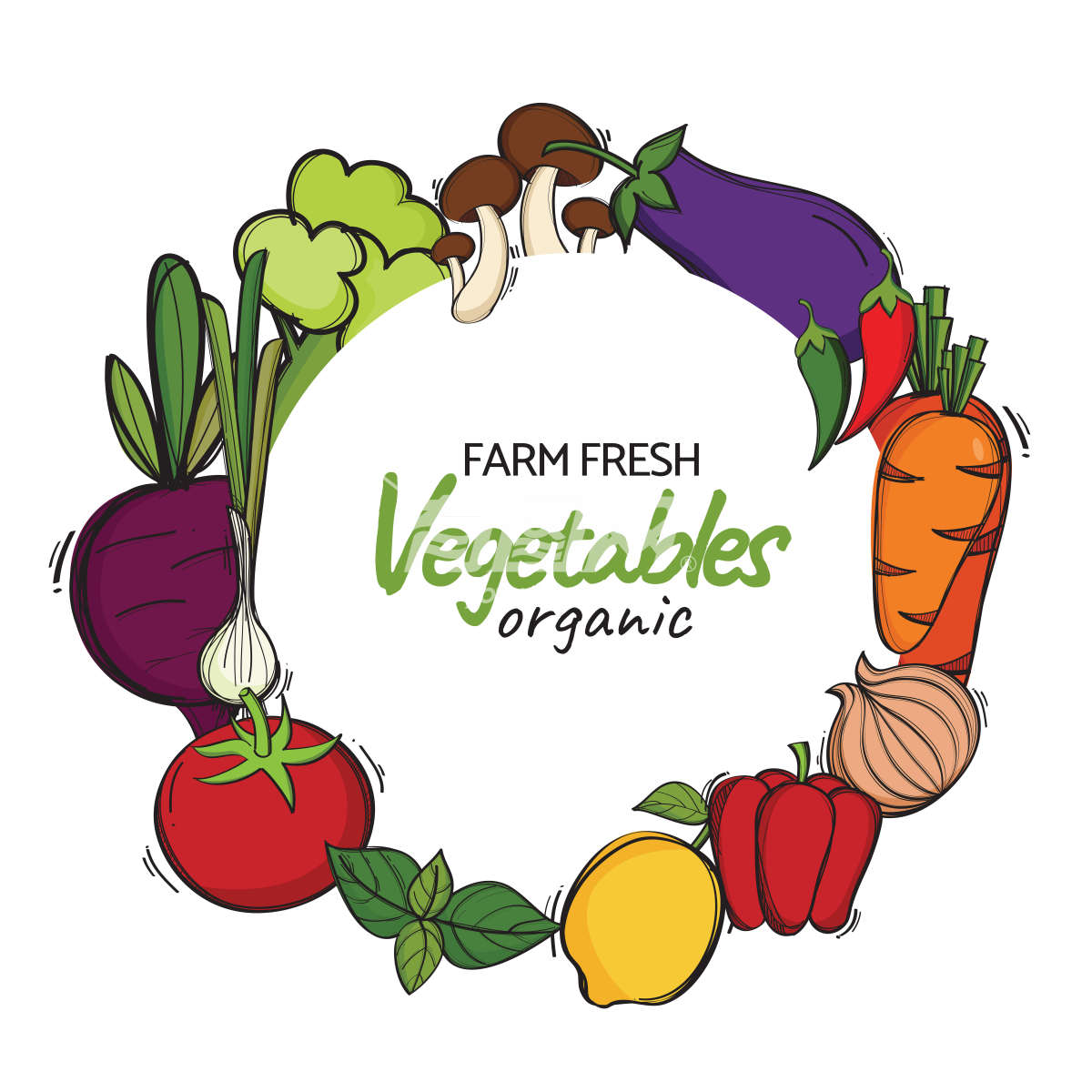 蔬菜海报插画