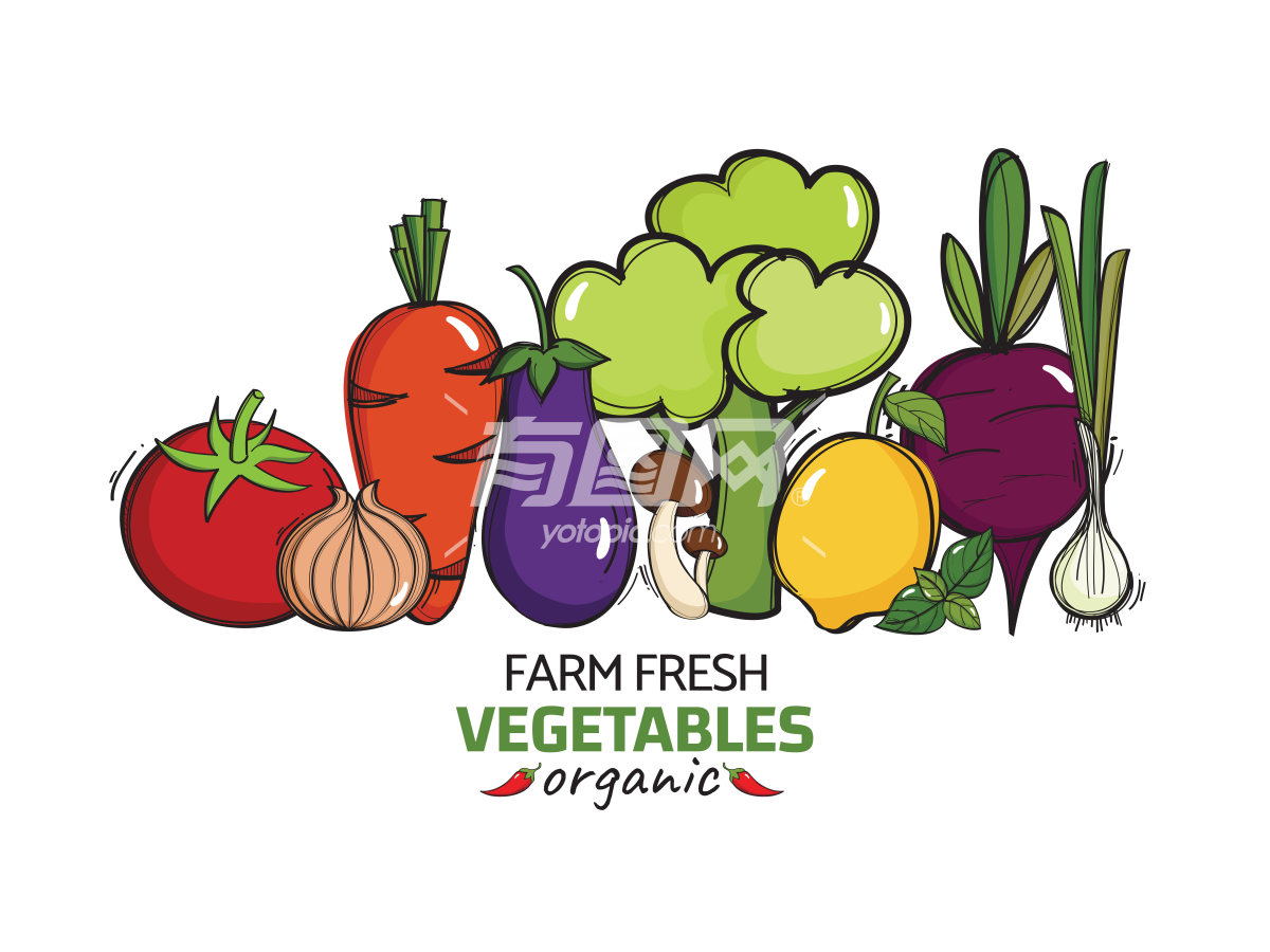 蔬菜海报插画