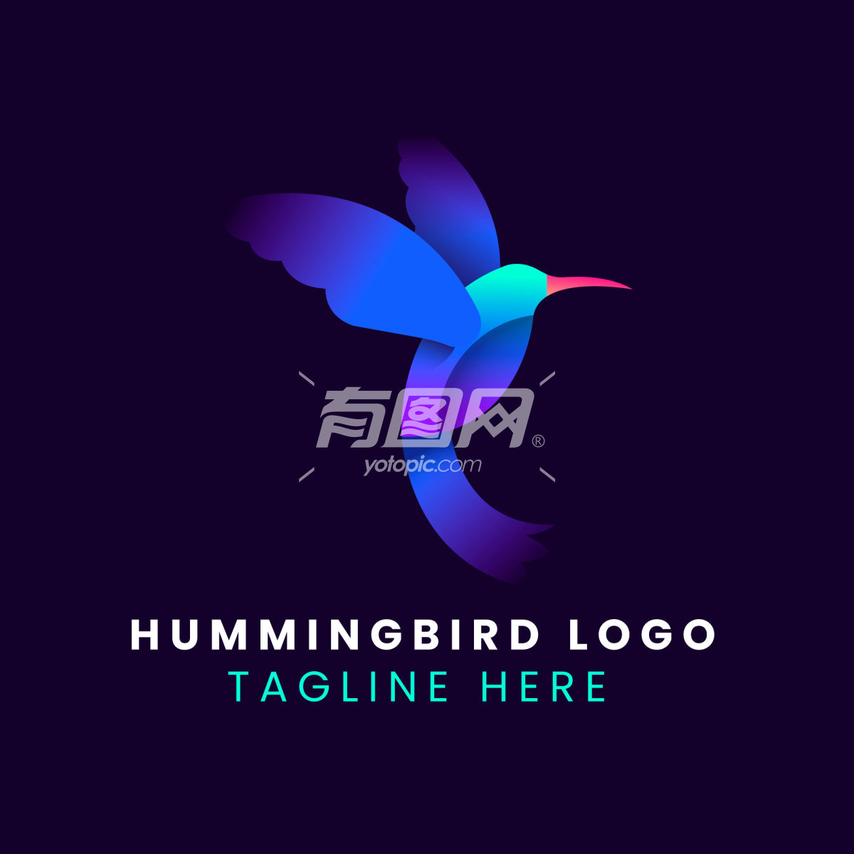 彩色蜂鸟logo