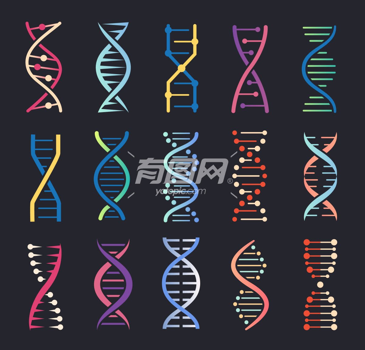 不同颜色DNA分子组成的矩阵