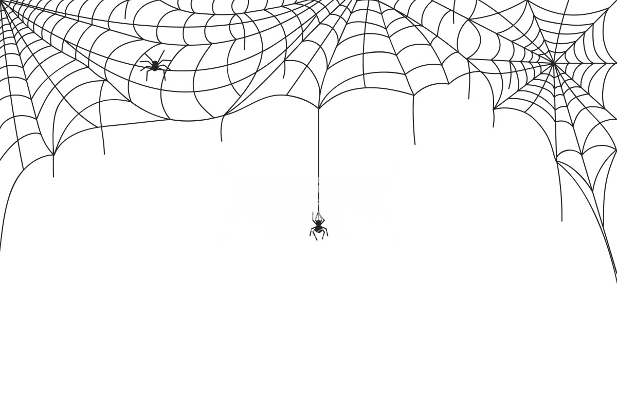 蜘蛛网的轮廓