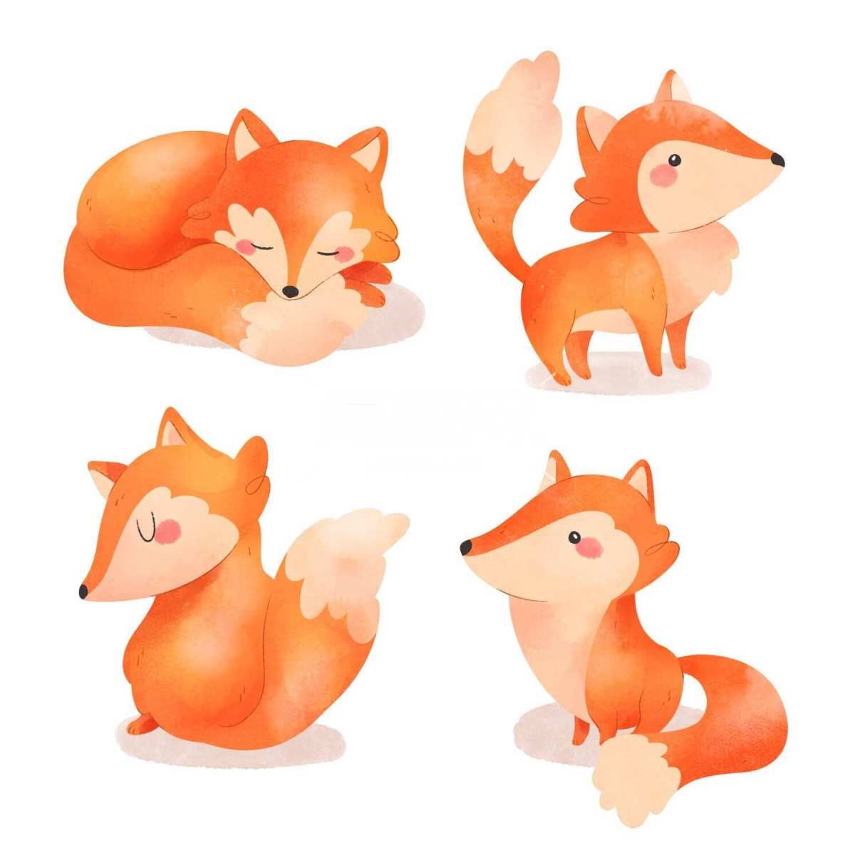 水彩狐狸插图