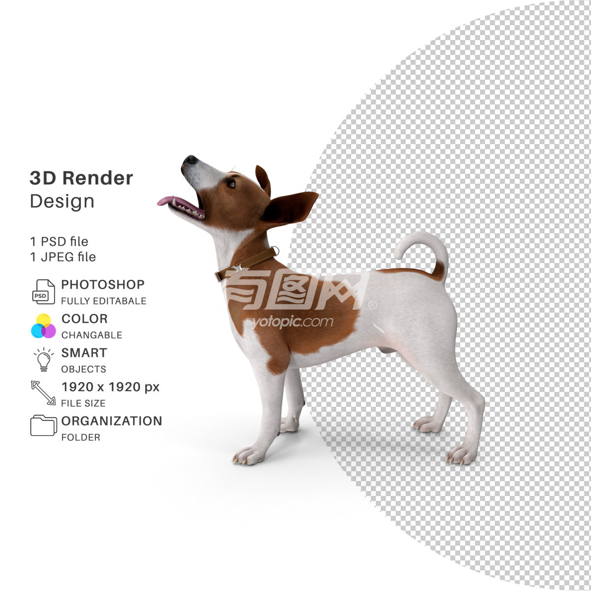 3D渲染的卡通狗的设计