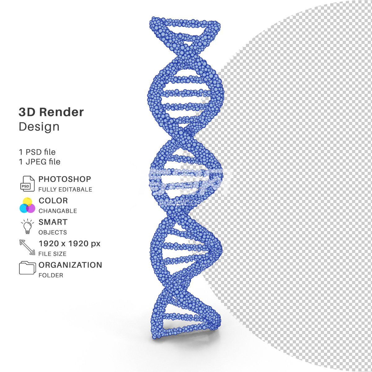 3D渲染的DNA分子模型