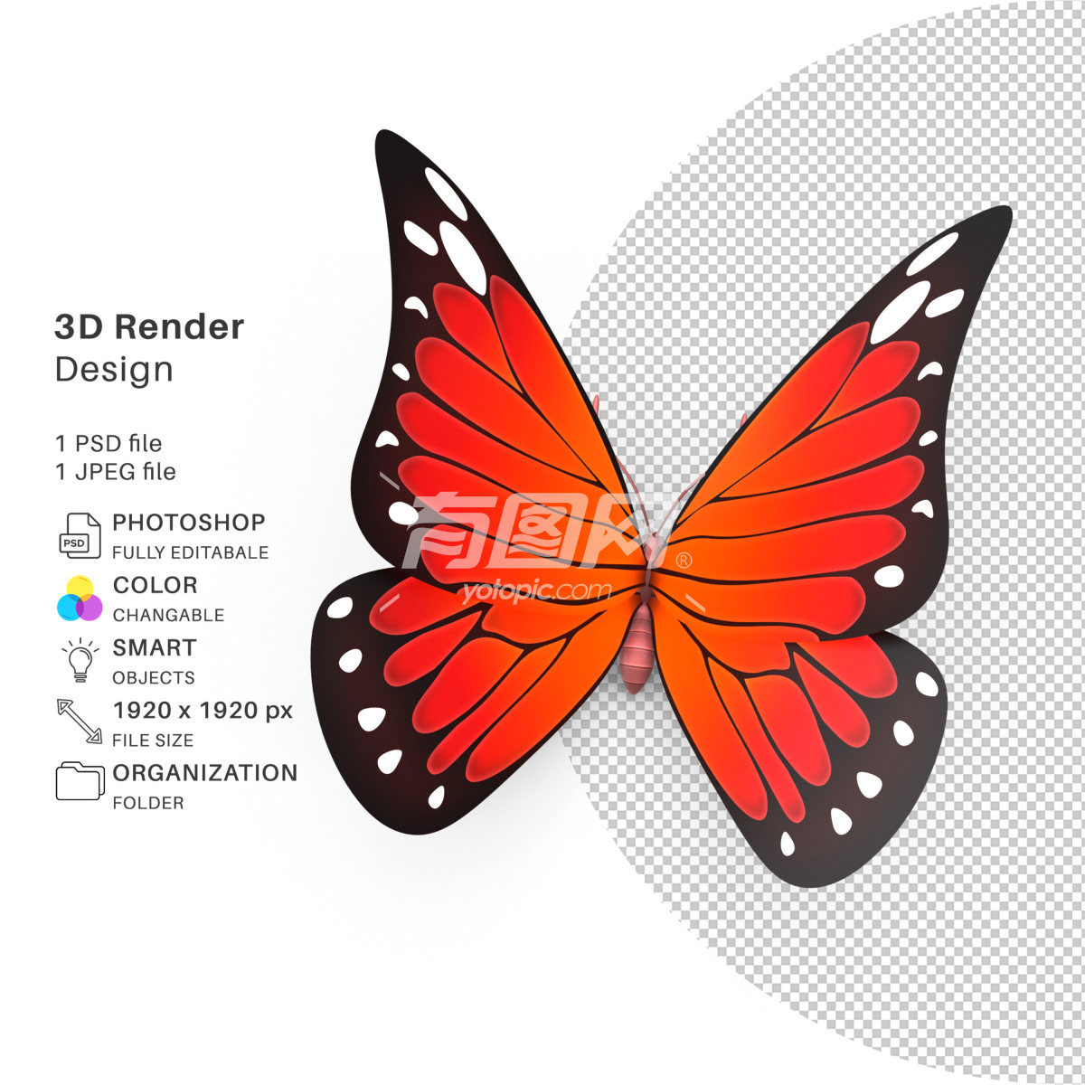 3D渲染的蝴蝶设计